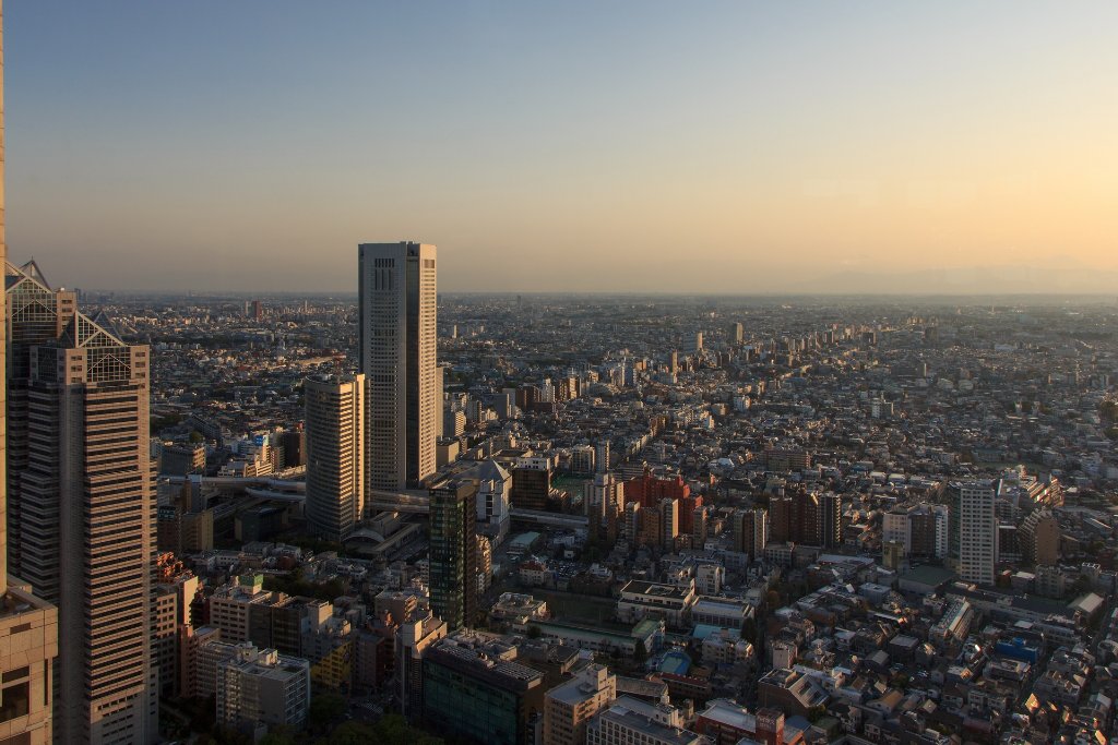32-Tokyo from the top of the Tokyo Metropolitan Government Building at sunset.jpg